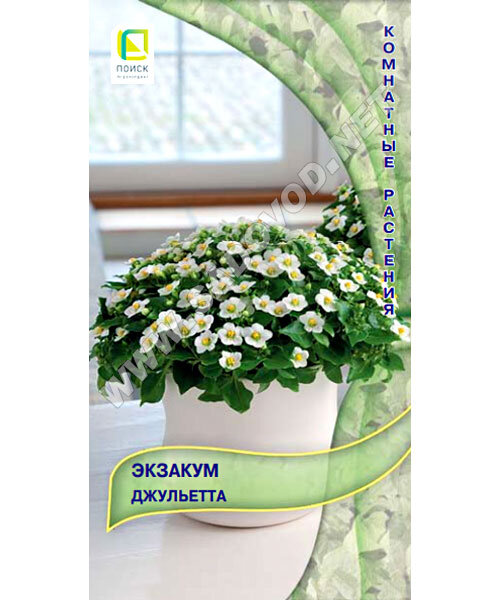 Экзакум Джульетта семена