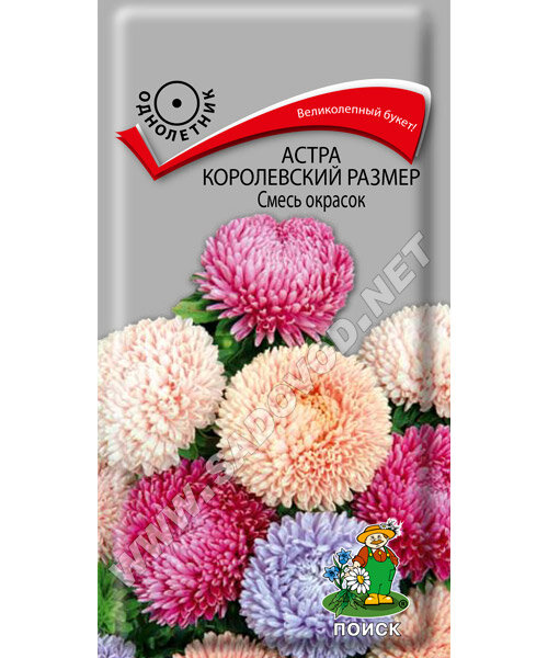 Астра королевский размер Смесь окрасок семена