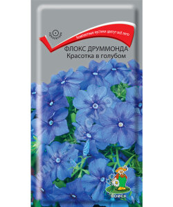 Флокс Красотка в голубом (друммонда)