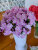 Флокс Мирослав