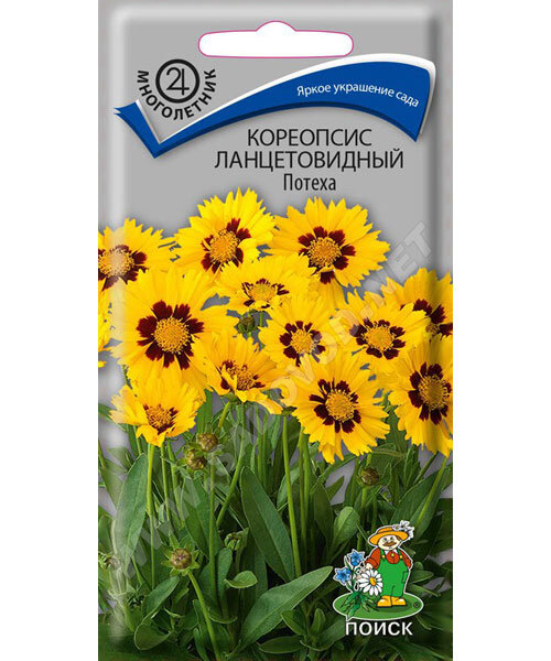 Кореопсис Потеха (ланцетовидный) семена