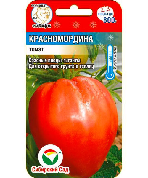 Томат Красномордина семена 