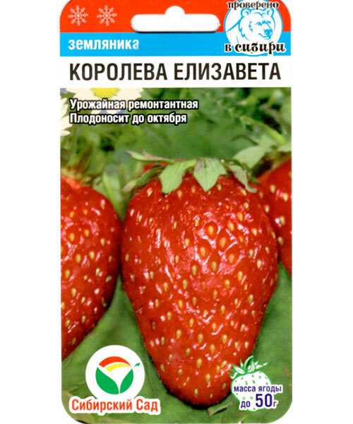 Клубника Королева Елизавета (ремонтантная) семена 