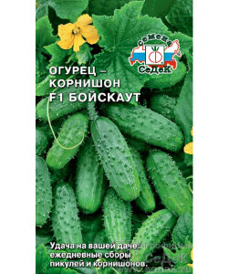 Огурец Бойскаут F1
