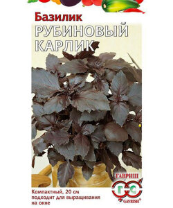 Базилик Рубиновый карлик