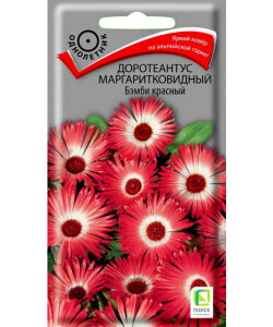 Доротеантус Бэмби красный (маргаритковидный)