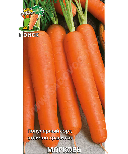 Морковь НИИОХ 336 семена 
