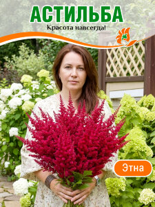 Астильба Этна (Арендса) Астильба Этна (Арендса)