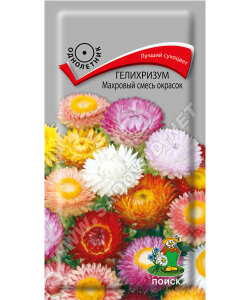 Гелихризум махровый Смесь окрасок