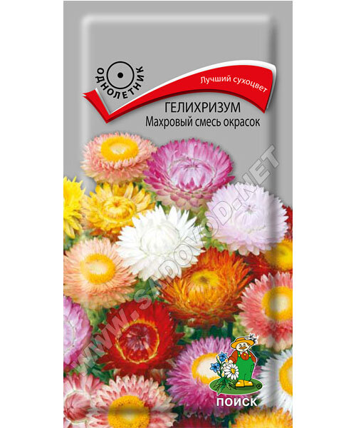 Гелихризум махровый Смесь окрасок семена