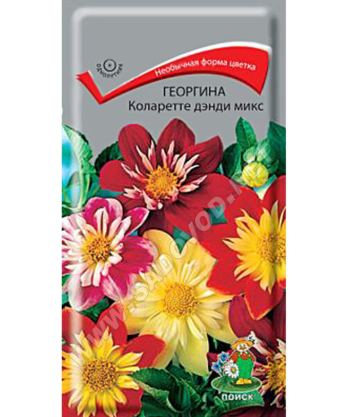 Георгина Коларетте Денди Микс семена