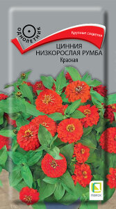 Цинния низкорослая Румба Красная