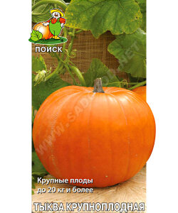 Тыква Стофунтовая (крупноплодная)